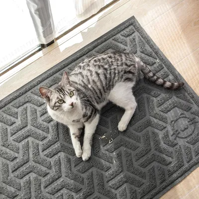 Produktbild von Katzenstreumatte Rutschfest 90x60 cm - Wasserdichte Unterlage zur Streukontrolle, Leicht zu Reinigen, Grau