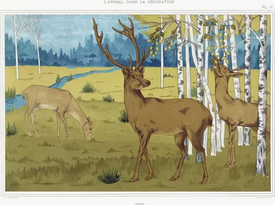 Zdjęcie produktu dla Plakat 40x30cm Jelenie, Verneuil Vintage do Salonu