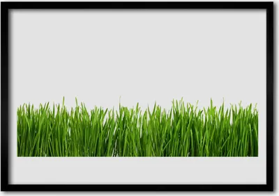 Produktbild von Bild 70x50 MDF-Rahmen Wandkunst Gras Natur Pflanze