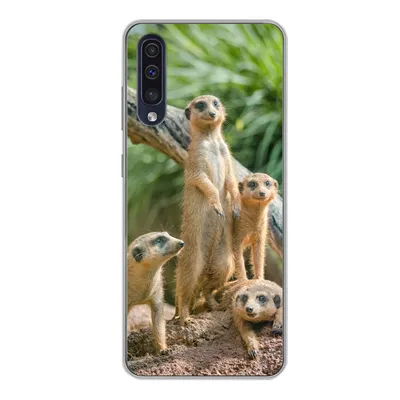 Produktbild von MuchoWow® Handyhülle Schutzhülle Hülle für Samsung Galaxy A50 Erdmännchen - Familie - Tiere Silikon Softcase Handy Hülle - Mobiltelefonhülle