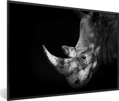 Produktbild von MuchoWow® MuchoWow® Gerahmtes Poster Rhinozeros - Tier - Licht 60x40 cm - Poster mit zchwarzem Bilderrahmen - Printing - Wanddeko Schlafzimmer