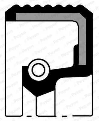 Produktbild von PAYEN Wellendichtring Schaltgetriebe NA5449 passend für PEUGEOT 2008 Kombi (CU) 207 (WA, WC) 206 Schrägheck (2A/C) 207 CC (WD) für CITROËN BERLINGO