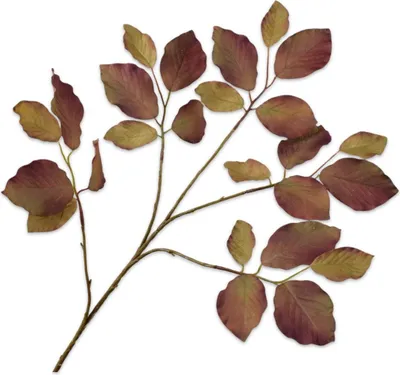 Produktbild von Silk-ka Kunstblume - Seidenblume - Kunstzweig Blätterzweig Grün-Braun 78cm