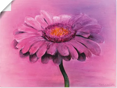 Produktbild von ARTland Poster Gerbera Größe: 60x45 cm