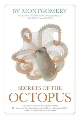 Produktbild von Secrets of the Octopus