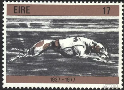 Produktbild von Briefmarken Irland 1977 Mi 370 (kompl.Ausg.) postfrisch Windhundrennen