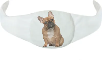 Produktbild von Kirschkernkissen Kinder, Wärmflasche, Wärmekissen für Babys, verstellbar, Hund [088]