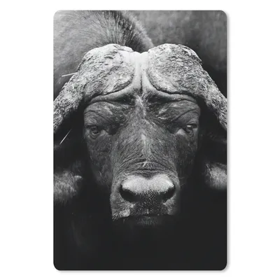 Produktbild von MuchoWow® Mauspad Mousepad Tiere - Büffel - Schwarz - Weiß - Porträt 18x27 cm - Mousepads - Maus Mat - Pad - Mausunterlage