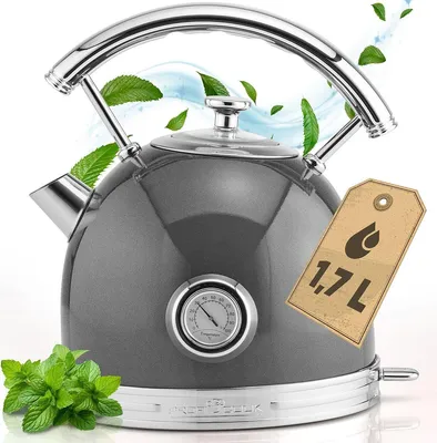 Retro-Wasserkocher 1,7 l, 2200 W, Temperaturanzeige, anthrazit