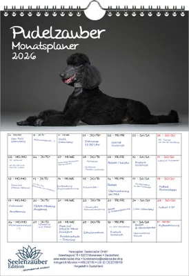 Produktbild von Pudelzauber Planer DIN A4 Kalender für 2026 Welpen und Hunde - Seelenzauber
