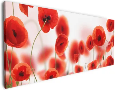 Produktbild von Wallario Premium Leinwandbild Leuchtende Mohnblumen - Rote Mohnblumenblüten in Größe 50 x 125 cm