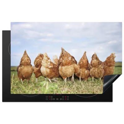 Produktbild von KitchenYeah© Herdabdeckplatte Hühner auf dem Feld , 81x52cm, Küche Deko, Glaskeramikkochfeld Herdabdeckung, Abdeckplatte fùr Kochfeld