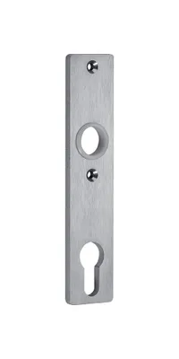 A silver-colored door lock escutcheon plate with a keyhole and a circular hole for a cylinder.