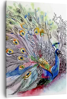 Produktbild von Bild auf Leinwand - Leinwandbild - Einteilig - Pfau Feder Farbe - 50x70cm - Wand Bild - Wanddeko - Wandbilder - Leinwanddruck - Kunstdruck - Wanddekoration - Leinwand bilder - Wandbild - PA50x70-3556