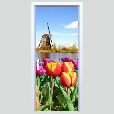 Immagine prodotto di Adesivo per porta in tessuto con tulipani e mulino a vento sullo sfondo 349PD