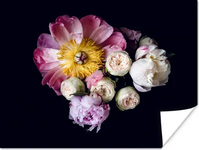 Produktbild von MuchoWow® Poster Blumen - Rosa - Pastell 120x90 cm - Wandbild