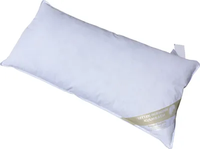 Produktbild von Betten Hofmann Sibiria Kopfkissen Federkissen 40x80 cm sibirische Wildgans 550g