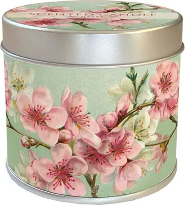 Image de Bougie parfumée 230 fleurs de cerisier - senteur rose