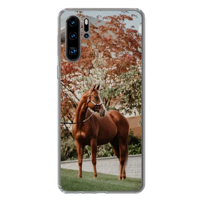 Produktbild von MuchoWow® Handyhülle Schutzhülle Hülle für Huawei P30 Pro Pferd - Baum - Halfter Silikon Softcase Handy Hülle - Schutzdeckel