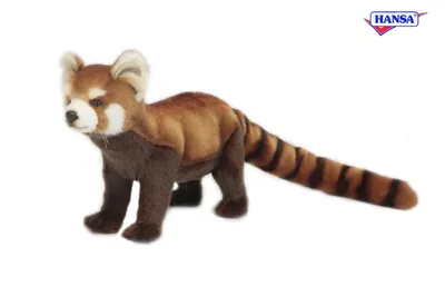 Produktbild von Hansa Toy 6309 Kleiner Panda stehend 67 cm Kuscheltier Stofftier Plüschtier