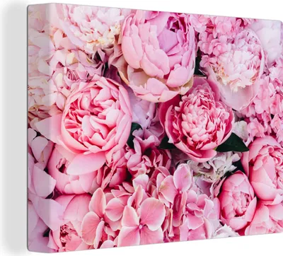 Produktbild von MuchoWow® - Leinwandbilder - Blumen - Rosa - Rosen, Wandbild, Wanddeko Bilder Wohnzimmer, 40x30 cm