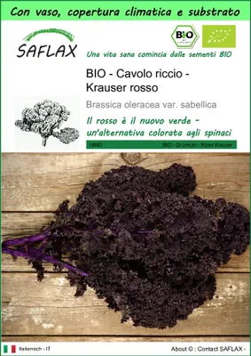 Immagine prodotto di SAFLAX Garden to go - BIO - Cavolo riccio - Krauser rosso - 50 semi - Brassica
