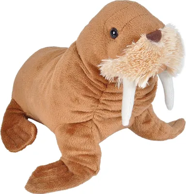 A plush toy walrus is shown against a white background.