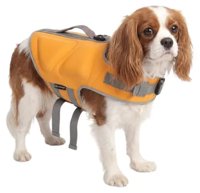 Image de Gilet de Sauvetage réglable pour Chien Swimmy