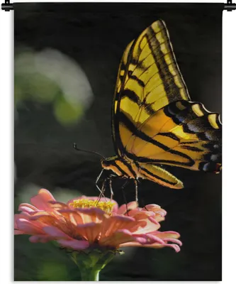 Produktbild von MuchoWow® Wandteppich Wandbehang Schmetterling - Botanisch - Blume 150x200 cm Tapisserie Dekoration Wandtuch - Wandaufhängung - Moderner