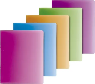 Produktbild von Ringbuch Fact! A4 25mm 2 Ringe farbig sortiert Packung mit 10 Stück