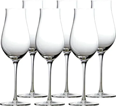 Zdjęcie produktu dla Stölzle Lausitz Q1 Portwein 6 Stück 420 00 05 | EAN 4012632276995