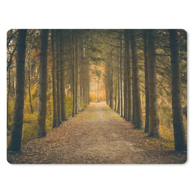 Produktbild von MuchoWow® Mauspad Mousepad Pfad - Bäume - Wald 40x30 cm - Mousepads - Maus Mat - Pad - Mausunterlage - Anti Rutsch