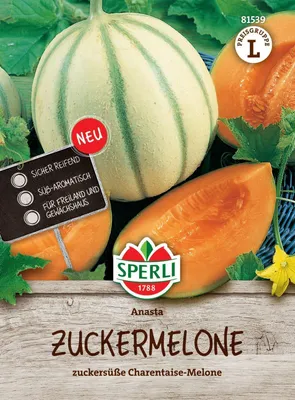 Produktbild von SPERLI Zuckermelonensamen Anasta F1 Cucumis melo 5 Pflanzen
