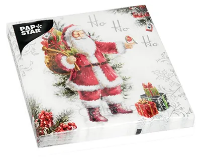 Zdjęcie produktu dla Papstar Serv. HoHoHo 33x33 cm 20 Stück