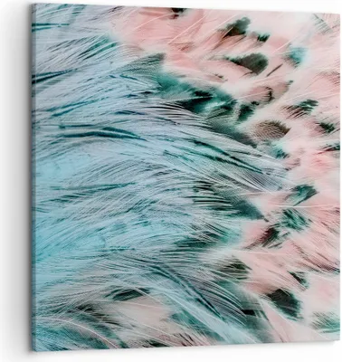 Produktbild von Bild auf Leinwand - Leinwandbild - Federn Federn Vogel - 50x50cm - Wand Bild - Wanddeko - Wandbilder - Leinwanddruck - Bilder - Kunstdruck - Wanddekoration - Leinwand bilder - Wandkunst - AC50x50-3742