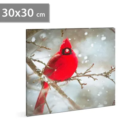 Productafbeelding van GLOBIZ LED-paneel - kardinaalrood - 30 x 30 cm