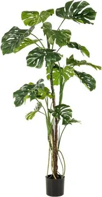 Obrázek produktu pro Umělá rostlina Monstera – okénkovitá – výška cca 180 cm – Realistická umělá pokojová rostlina s velkými listy