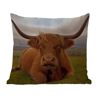 Produktbild von MuchoWow® Outdoor Kissen - Schottisches Hochlandrind - Tiere - Berg - 60x60 cm - Wetterfest - Lounge Kissen - Dekoration - Schlaf Kissen