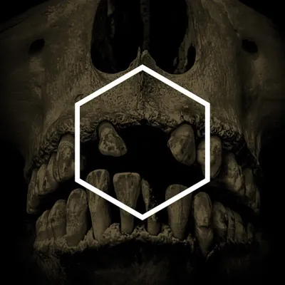 Immagine prodotto di Gli Altri (Lustmord Deconstructed)