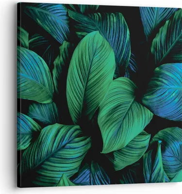 Produktbild von Bild auf Leinwand - Leinwandbild - Einteilig - Blätter Pflanzen Exotik - 30x30cm - Wand Bild - Wanddeko - Wandbilder - Leinwanddruck - Bilder - Wanddekoration - Leinwand bilder - AC30x30-5066