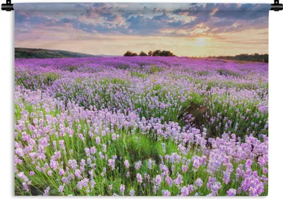 Produktbild von MuchoWow® Wandteppich Wandbehang Blumen - Lavendel - Lila - Himmel - Sonnenuntergang - Wiese - Natur 90x67.5 cm Tapisserie Dekoration Wandtuch - Fototeppich - Wand-Skulpturen