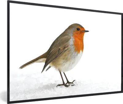 Produktbild von MuchoWow® MuchoWow® Gerahmtes Poster Rotkehlchen - Schnee - Weiß 60x40 cm - Poster mit zchwarzem Bilderrahmen - Printing - Wanddeko Schlafzimmer