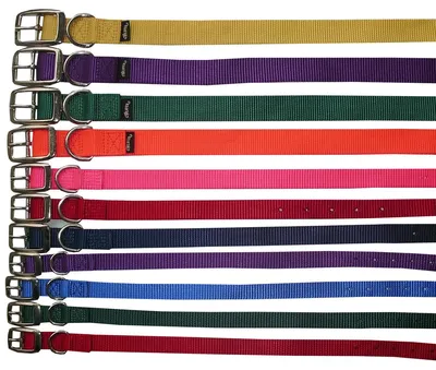 Produktbild von Hundehalsband Prism Choice aus Nylon 1,9 cm breit Halsband für Hunde  Halsband Hund in Schwarz & 17