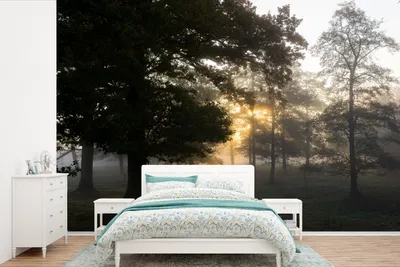 Produktbild von MuchoWow® Fototapete für Wohnzimmer oder Schlafzimmer Wandtapete Vinyl Motivtapete Sonnenaufgang im Söderåsen-Nationalpark in Schweden - 450x300 cm - Gemusterte