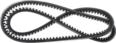 Obrázok produktu pre pasek klinowy 13X1253