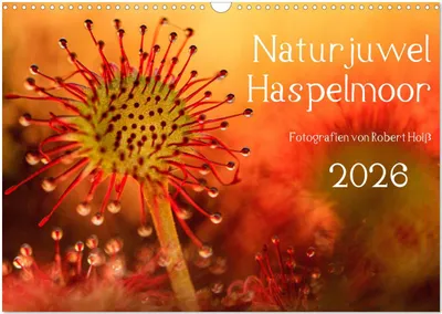 Produktbild von Naturjuwel Haspelmoor (Wandkalender 2026 DIN A3 quer), CALVENDO Monatskalender