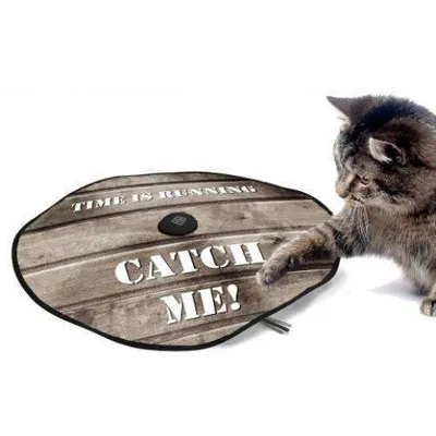 Image de Jouet pour chats D&D Catchme Adventure Undercovermouse Wood