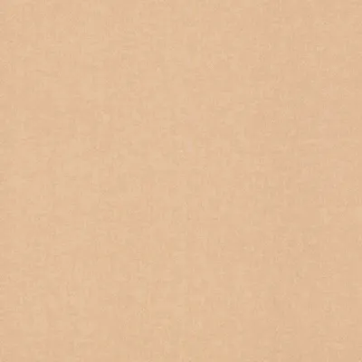 Obrázok produktu pre Vliesová tapeta 252866 Jednofarebná tapeta 53 x 1005 cm Rasch Bambino XIX Brown