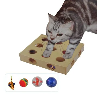 Produktbild von Beschäftigungsspielzeug für Katzen Katzenspielzeug Katzenbrett Spielkasten