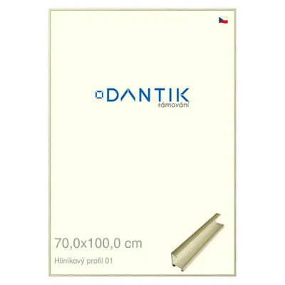 Zdjęcie produktu dla Ramka DANTIK 70x100 | Profil ALU 7001 złota błyszcząca alternatywa (Plexi Clear)